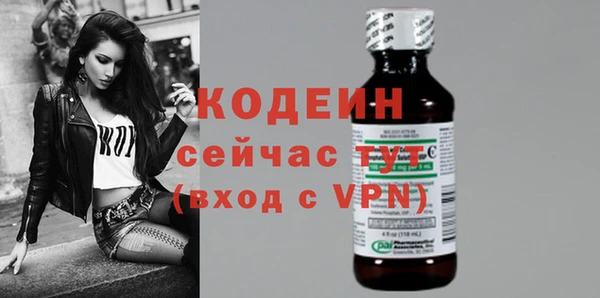 ECSTASY Няндома