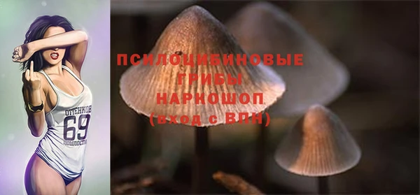 стаф Нязепетровск