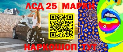 индика Аргун