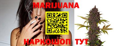 сатива Апрелевка