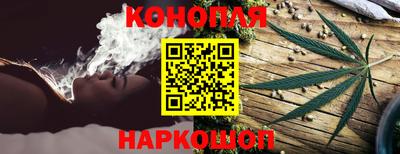 индика Аргун