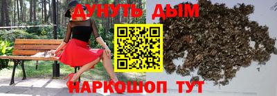 индика Аргун