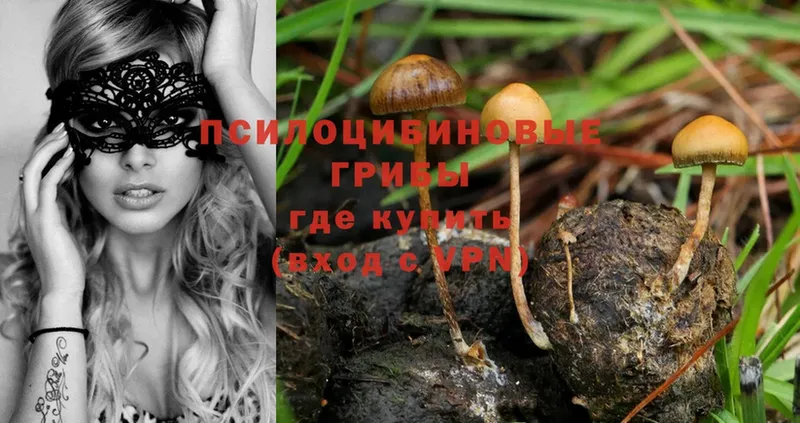 omg ссылка  Белогорск  Псилоцибиновые грибы Psilocybine cubensis  как найти  