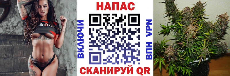 где купить наркоту  OMG tor  Бошки Шишки индика  Белогорск 